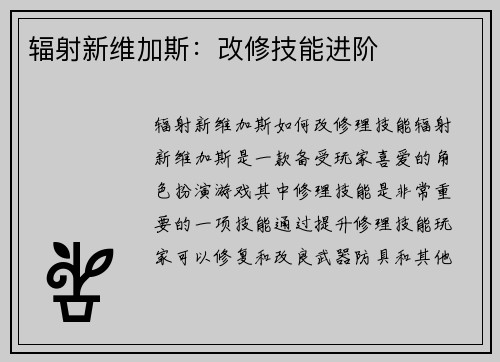 辐射新维加斯：改修技能进阶